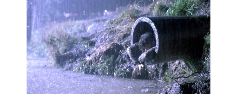 The-Shawshank-Redemption-Facts-and-Secrets-14-Sewage-Escape.jpg