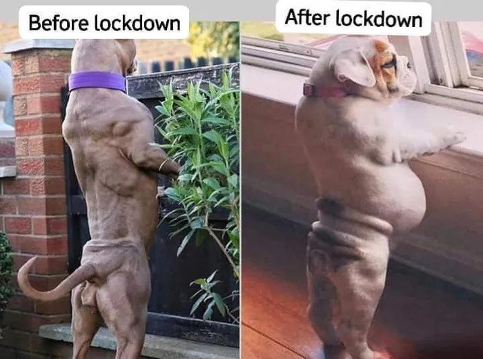 before-lockdown-vs-after-lockdown-corona-virus-meme.jpg