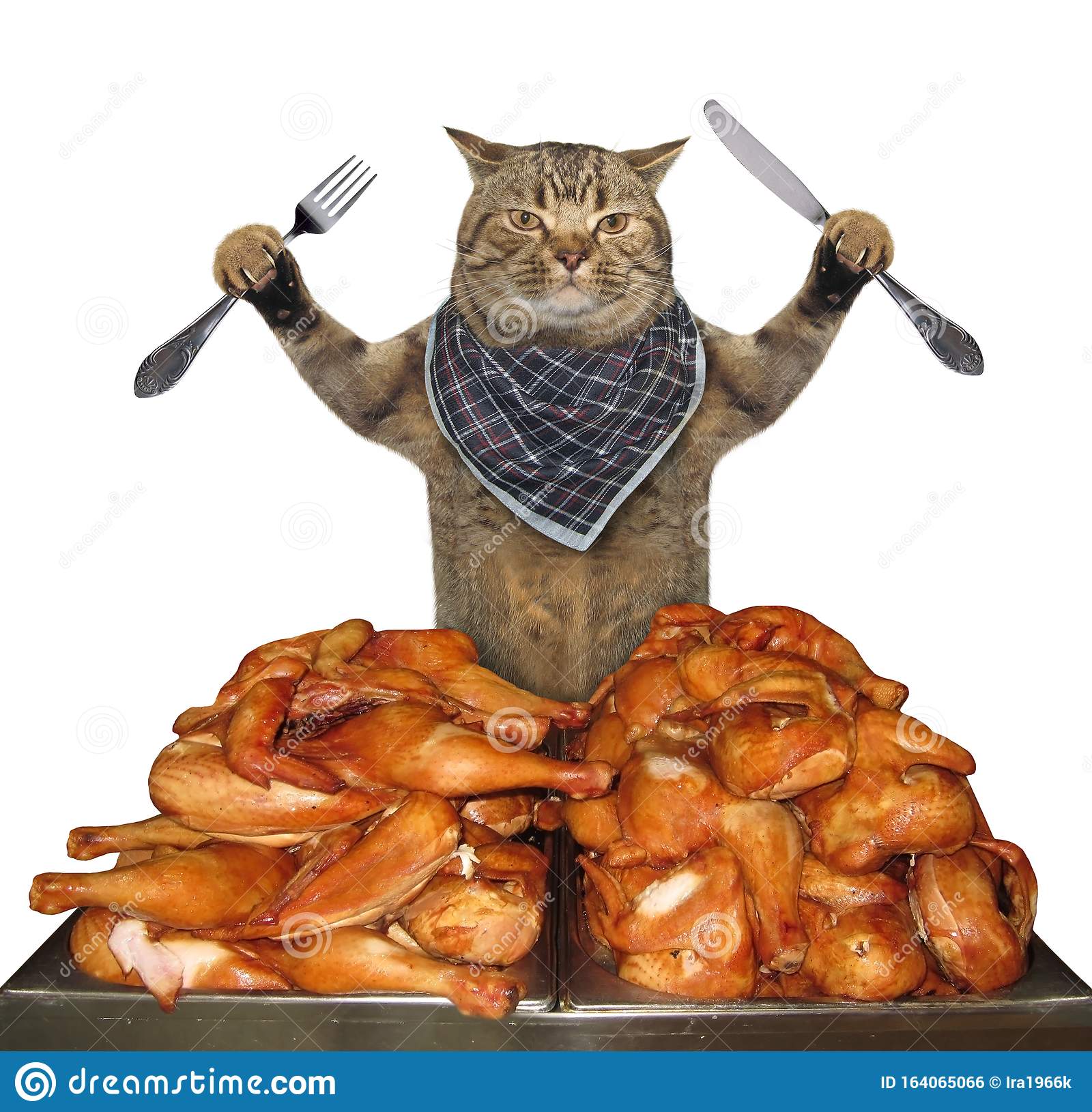 beige-cat-neck-napkinwith-knife-fork-eating-stack-grilled-chicken-legs-white-background-isolat...jpg