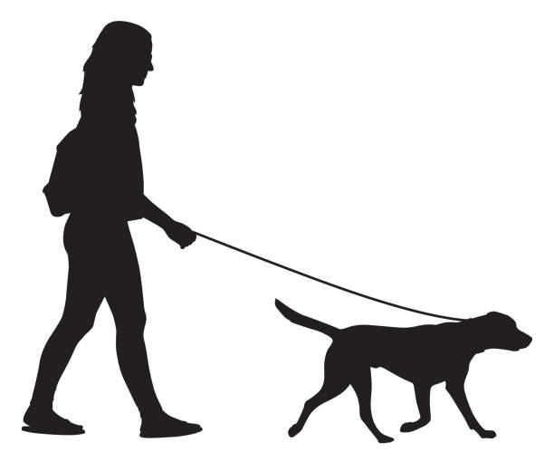 dog walk.jpg