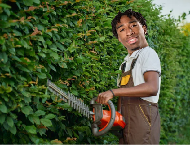 Isaiah Whaley_The Hedger.PNG