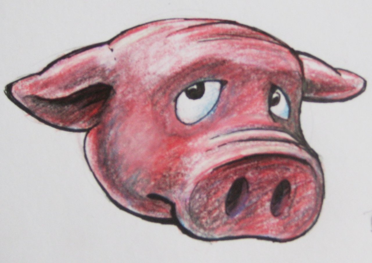 Sad Pig.jpg