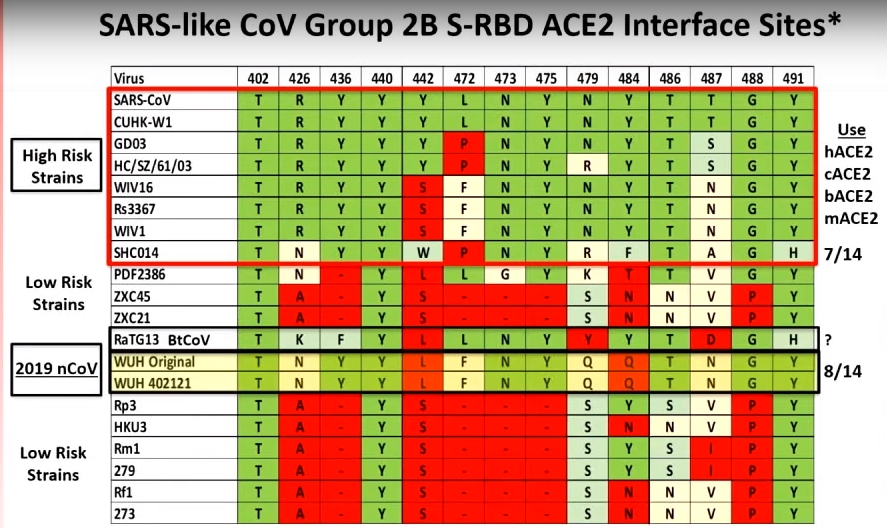 SARS-CoV Viral Interfacing with ACE2.jpg