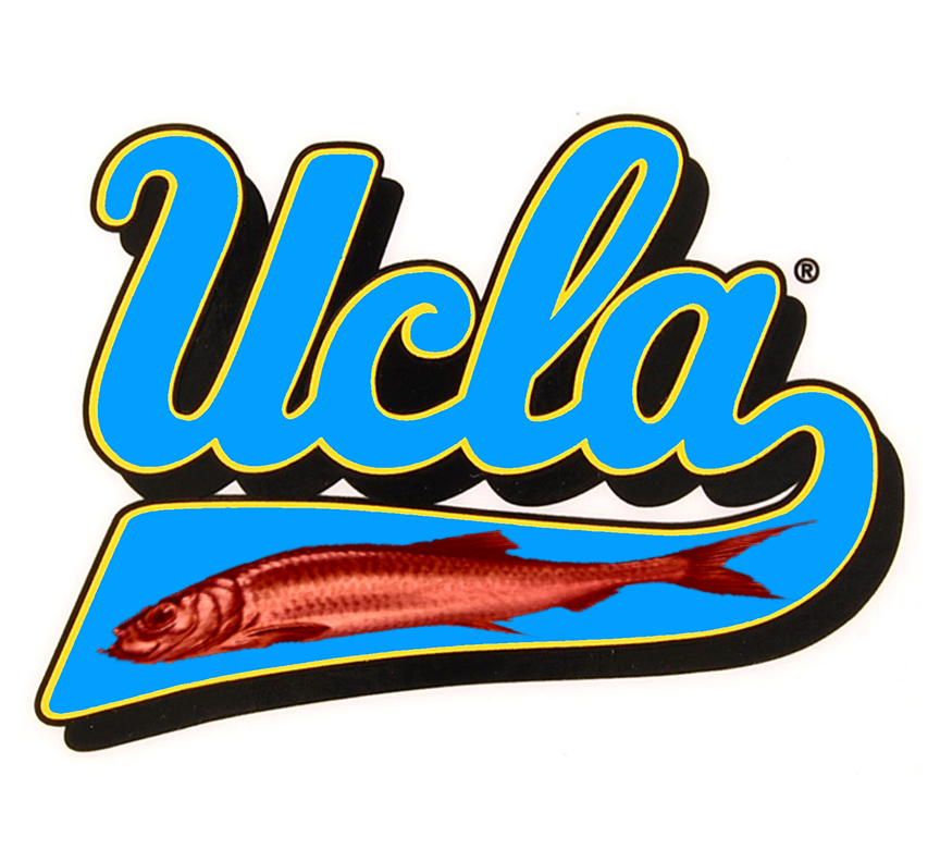 ucla.jpg