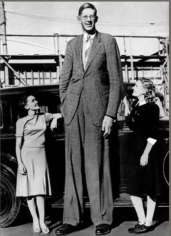 wadlow-e1580885742791.jpg