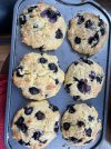 IMG_0859.jpeg