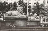 IMG_2838.jpeg