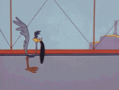 roadrunner-black-hole-tayro48p1sz2vdh1.gif