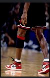 IMG_2331.jpeg