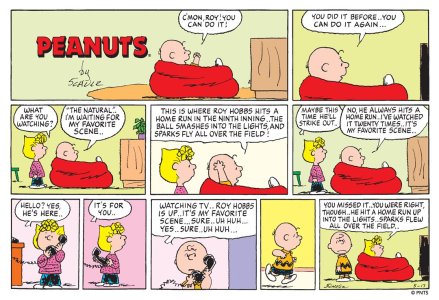 Peanuts - Roy Hobbs.jpg