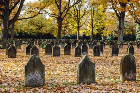 graveyard-background-bv8bgbtkbghr55ex.jpg