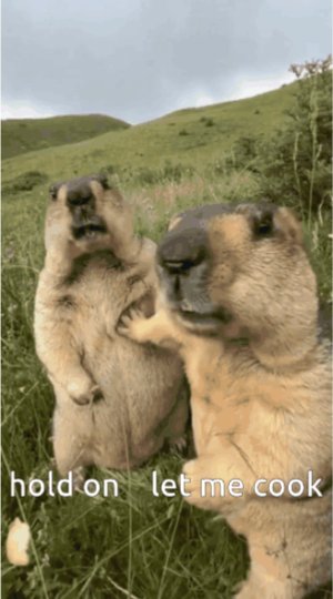 Screenshot_20250809-174959 (1).jpg