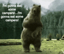 bear-funny.gif