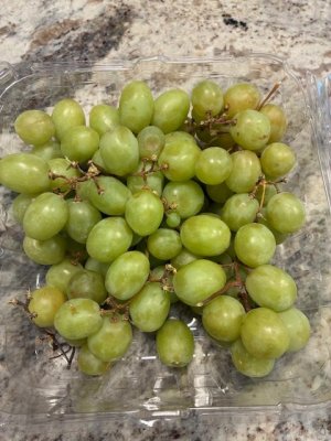 grapes.jpeg