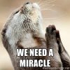 We Need a Miracle.jpg