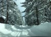 Tahoe House Street - snow.jpg