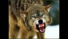 ABFE7AD0-C8A7-4FC5-907F-4B9AC43BE2BB.jpeg