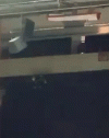 South-Car-1-Banner.gif