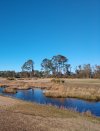 IMG_20210103_150758085~3.jpg