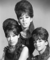 Ronettes-Estelle-Bennett-Veronica-Nedra-Talley-1965.jpg