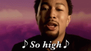So High (1).gif
