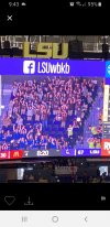 lsu game.jpg