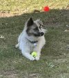 cooper (2).jpg