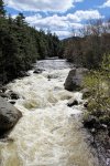 raging-river-carol-mcgrath-1381231728.jpeg
