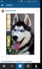 Screenshot_2015-06-04-15-32-56.png