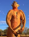 kangaroo.jpg