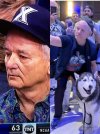 murray.jpg