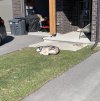 IMG_0055.jpeg