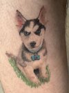 IMG_0818.jpeg