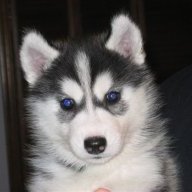 UConn Esq