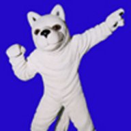 Blue Huskie