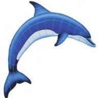 BlueDolphin