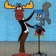 Moose
