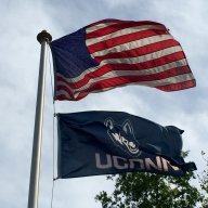UC313