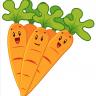 Carrot23