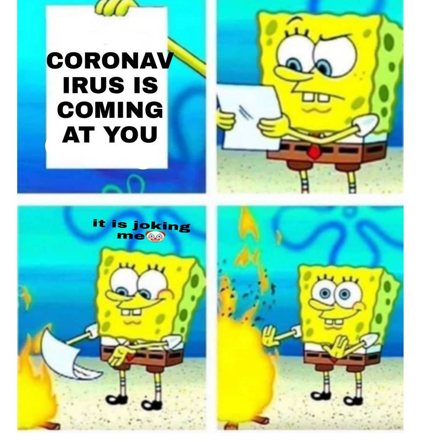 4757011.jpg