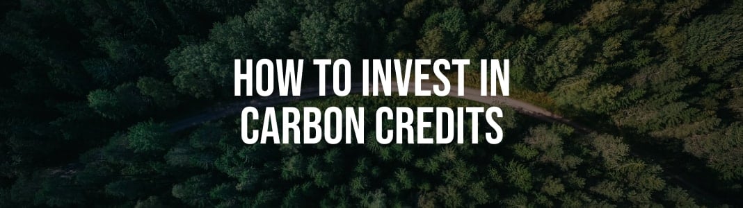 carboncredits.com