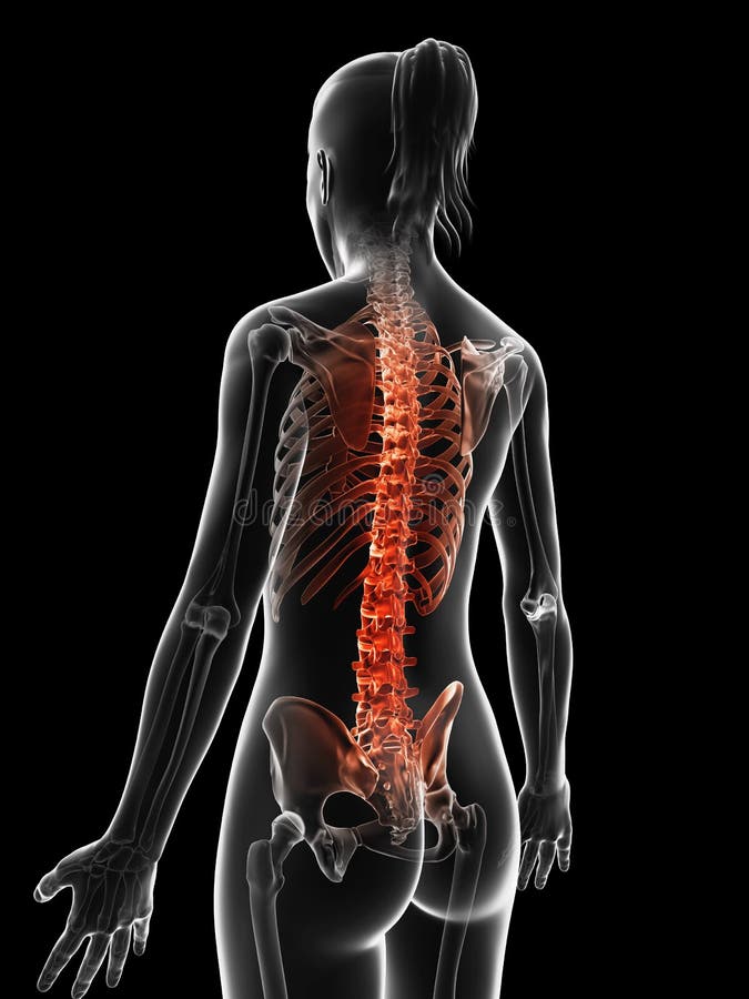 highlighted-spine-d-rendered-illustration-painful-34775890.jpg