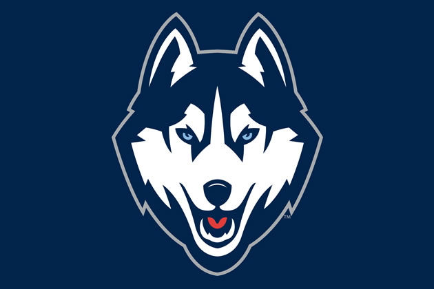 husky_qa.jpg.jpeg