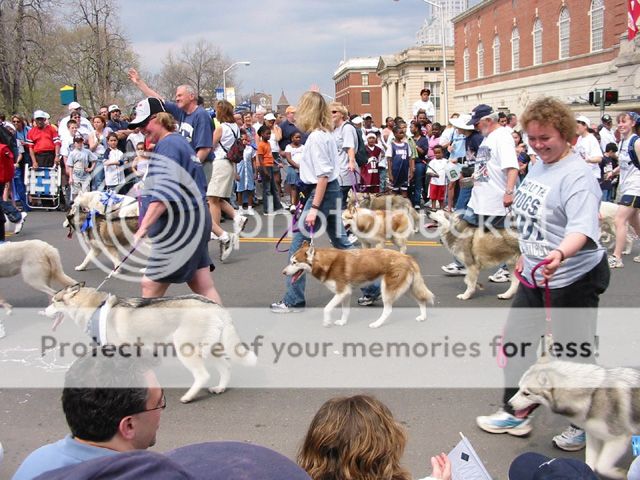 2004-UConn-Parade_zps9f18a87f.jpg