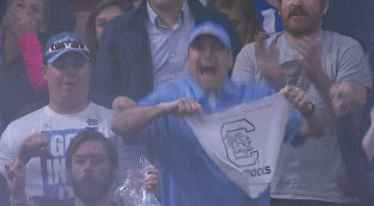 gococks.0.gif