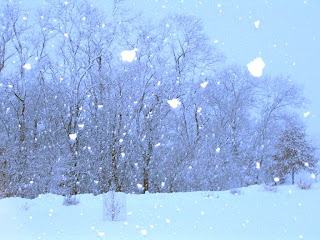 snowstorm%2B2.jpg