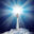 www.lightforcenetwork.com