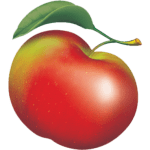 lymanorchards.com