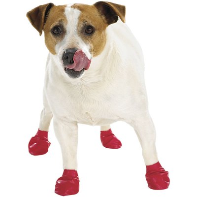 waterproof-dog-boots-graphic.jpg