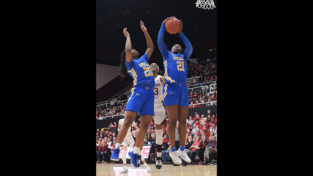 www.hoopfeed.com